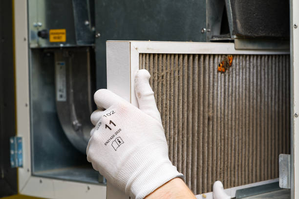 Best Air Duct Sanitizing Services  in Martinsburg, WV