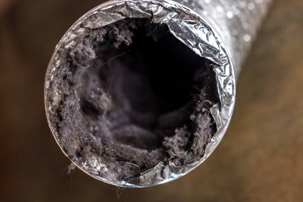 Best Affordable HVAC Duct Cleaning  in Martinsburg, WV