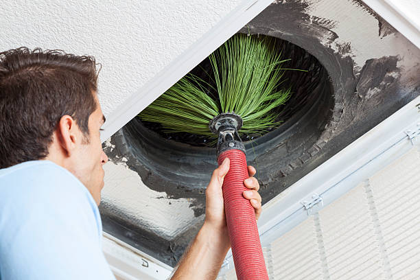Best Best Air Duct Cleaning Company  in Martinsburg, WV